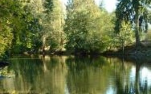 Chemainus River Campgrounds